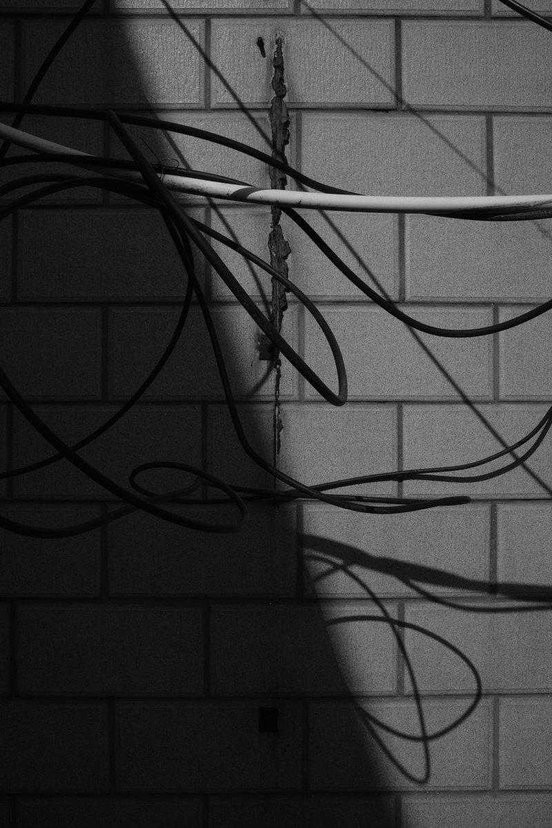 Creebit「苦力兔」🏳️‍⚧️ tweet media