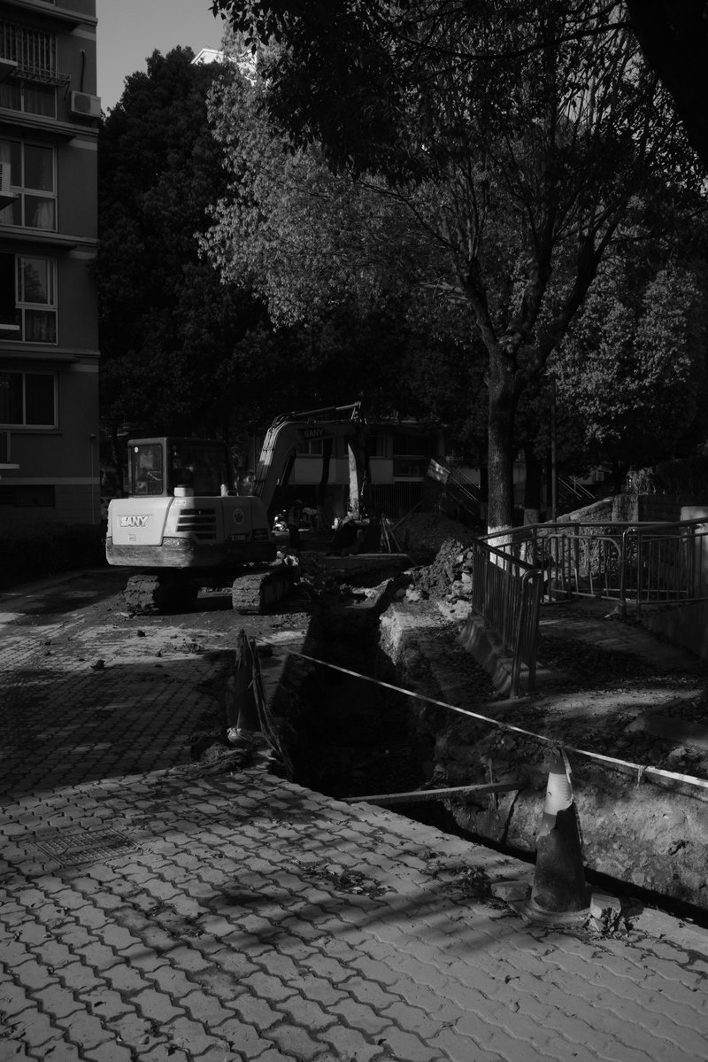 Creebit「苦力兔」🏳️‍⚧️ tweet media