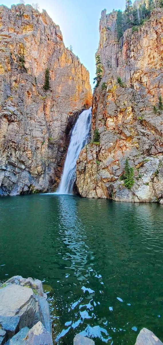 Prarie Patriot tweet media