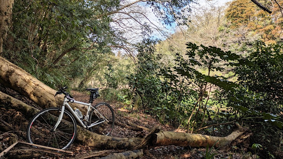 齋藤ケン坊 tweet media