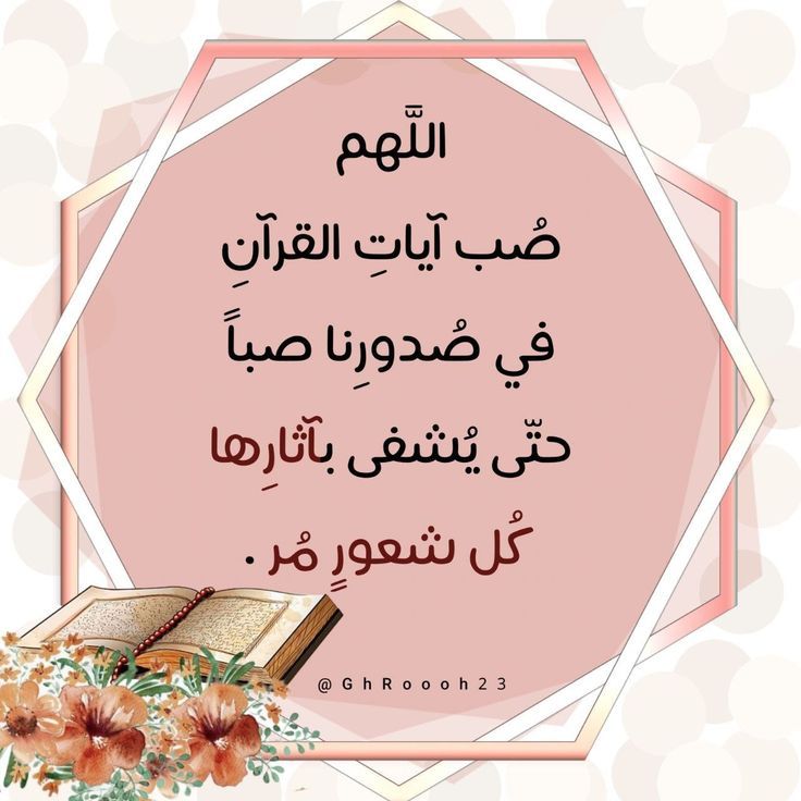 ( حنان قنديل) tweet media