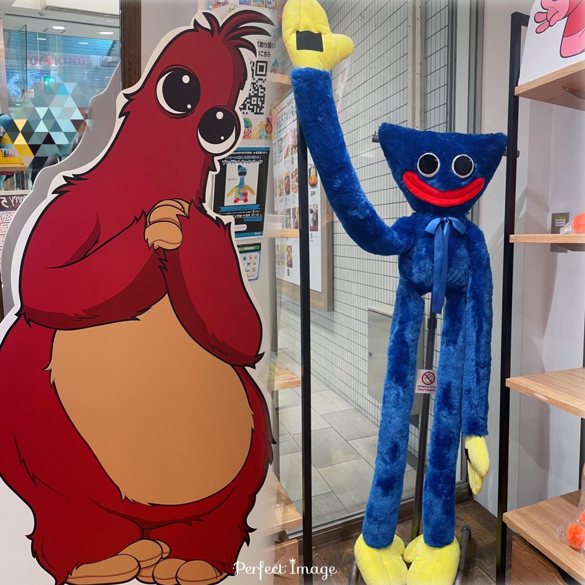 ❤️🦉あめり🦉❤️ tweet media