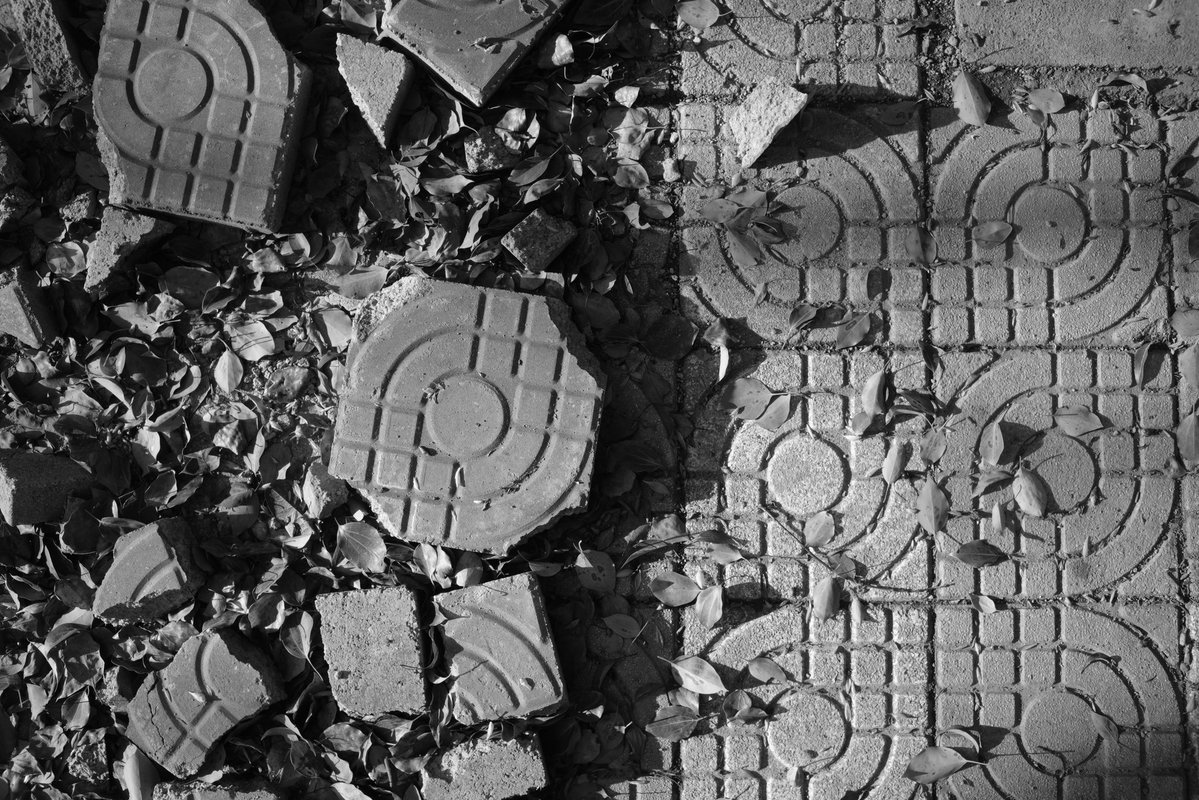 Creebit「苦力兔」🏳️‍⚧️ tweet media