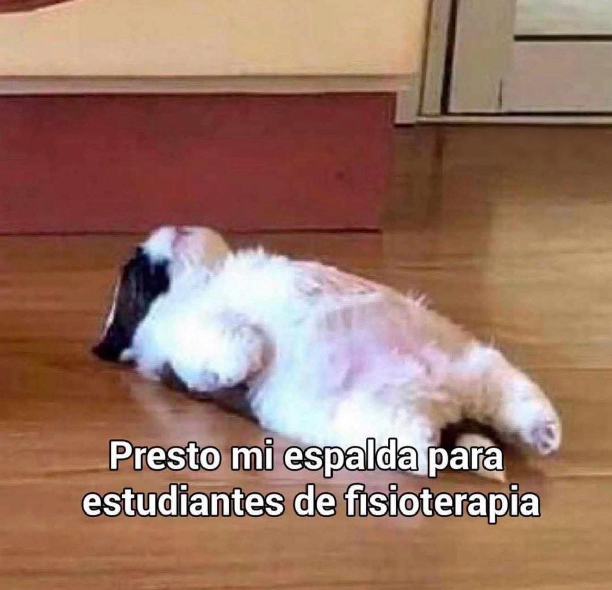 Товарищ Osvid 🥃 tweet media