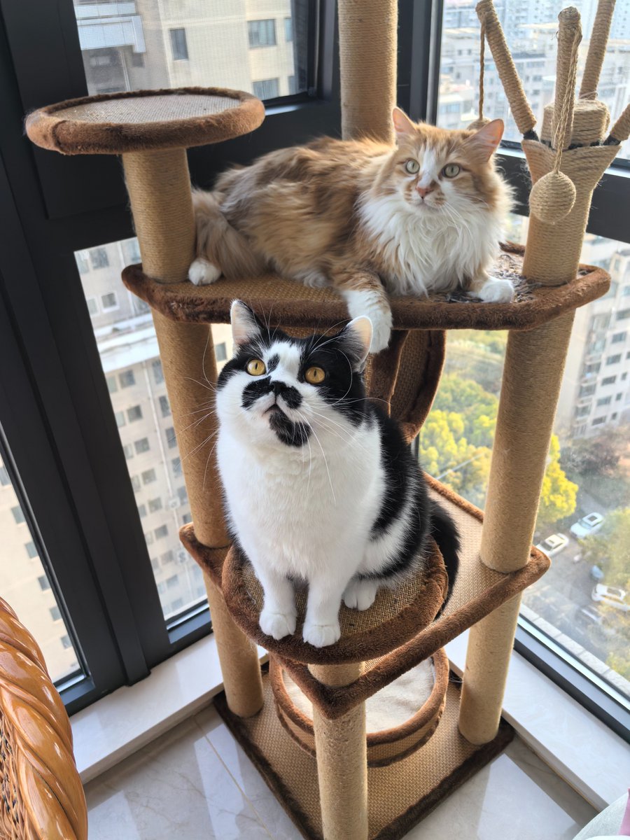 YEYE(CDONLY) tweet media