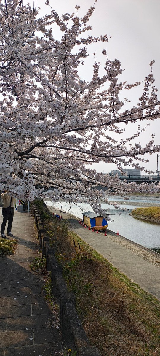 ギフKT869/JS2IID tweet media