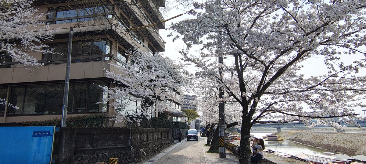 ギフKT869/JS2IID tweet media