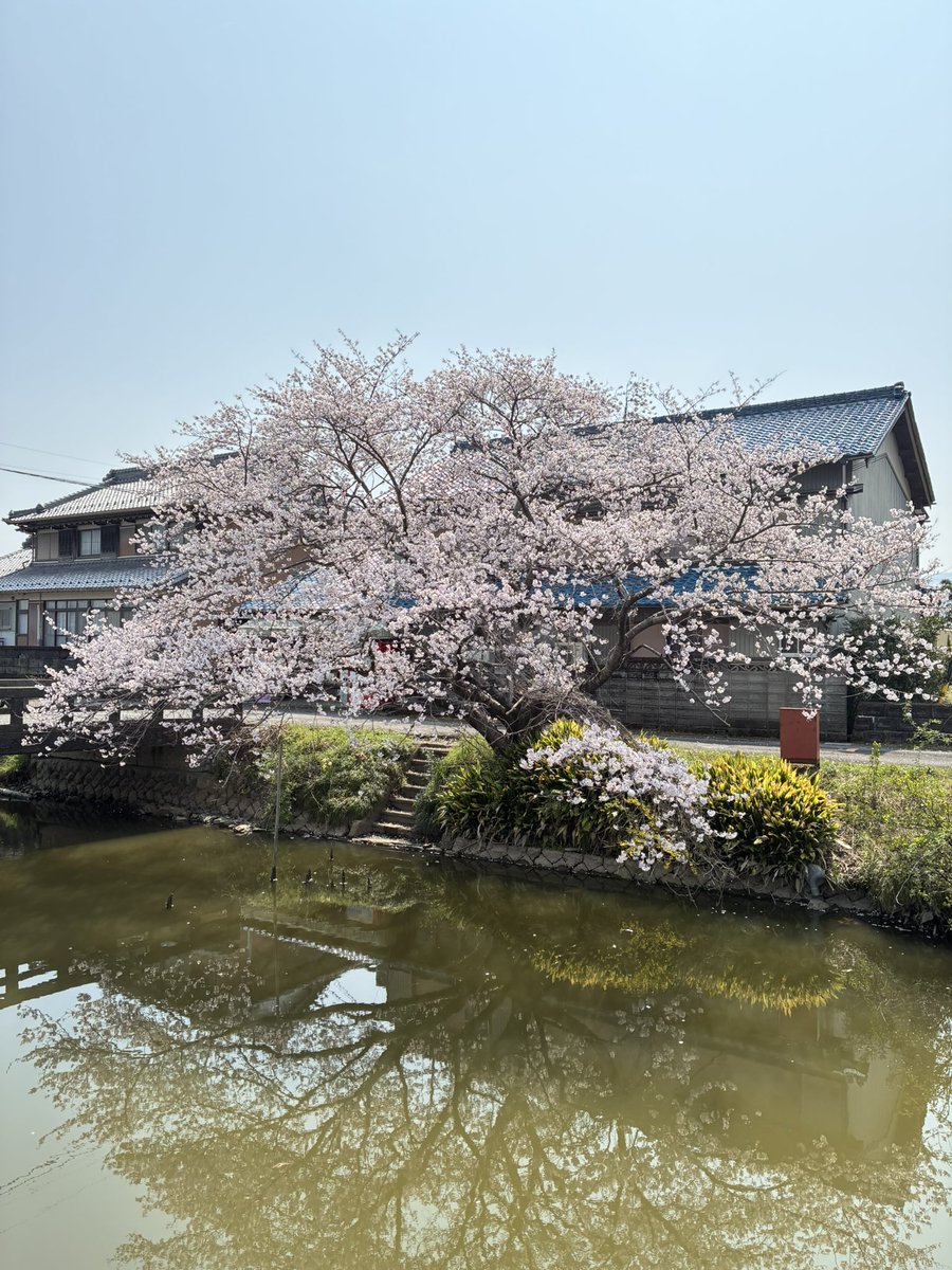 くろさば tweet media