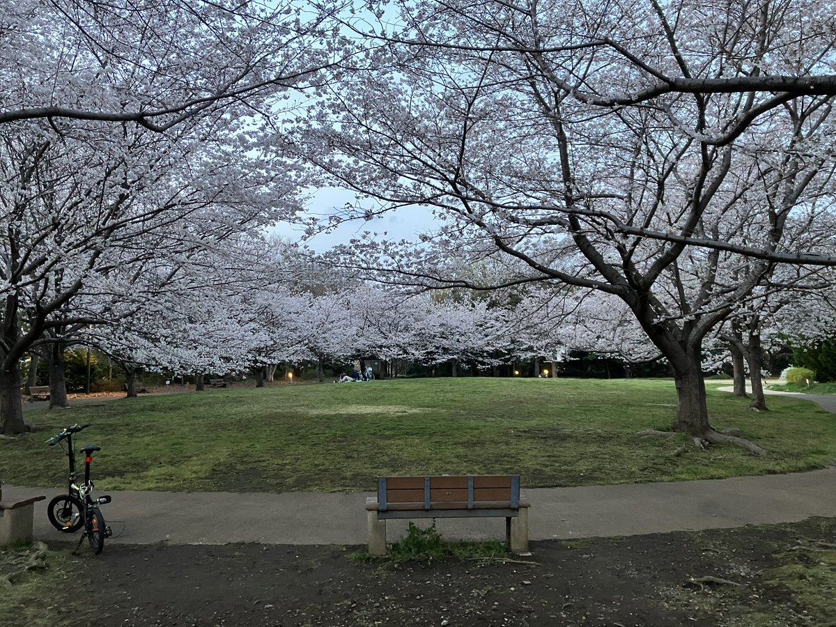 テレキャスター tweet media