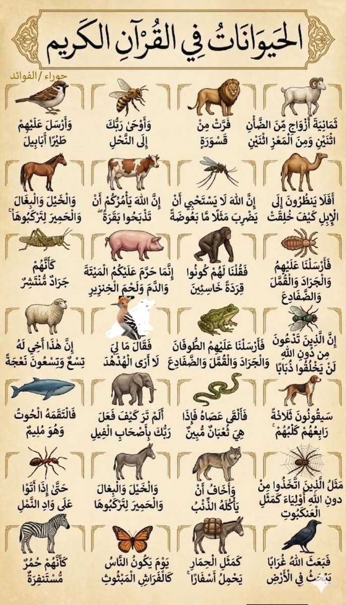 هندسة النحو-هيثم الوزير tweet media