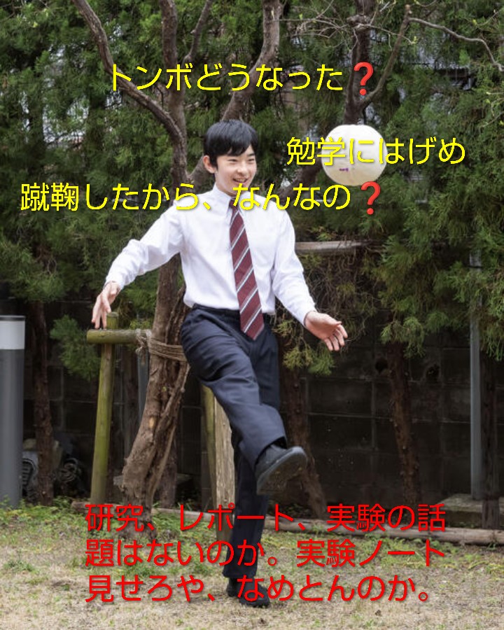 坂本屋🎀さかもちゃん⚜️ tweet media