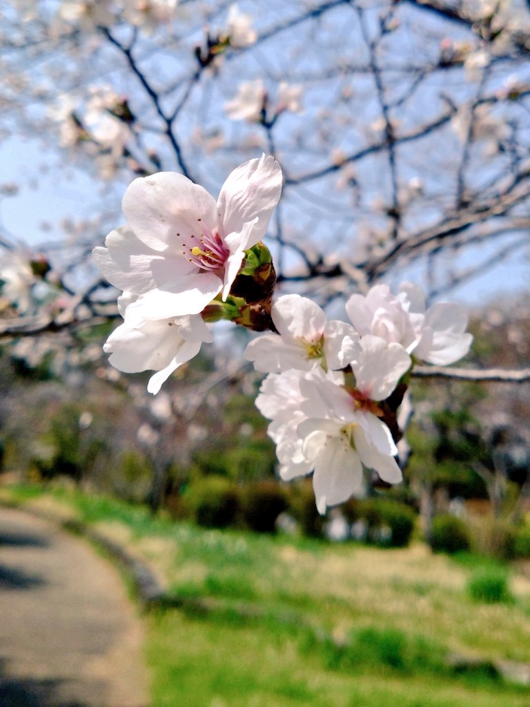 koumega's tweet photo. ゴールデンカムイを観てきた…
門倉部長イケオジだった…宇佐美は本当に宇佐美だった…都丹庵士…杉本哲太さん…ありがとうございます…あとデカい月島軍曹…とても…好き…全員…良かった… https://t.co/UJMvTw5W0f