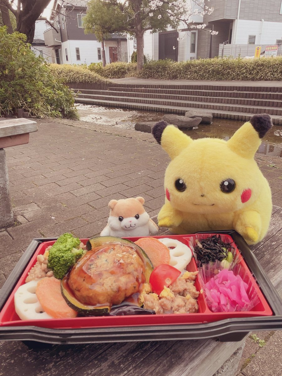 ぷぅ吉 tweet media