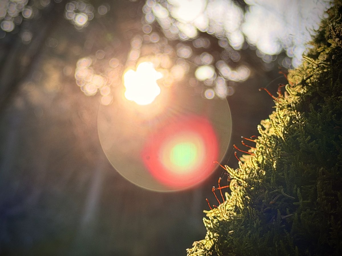 Filip Molčan tweet media