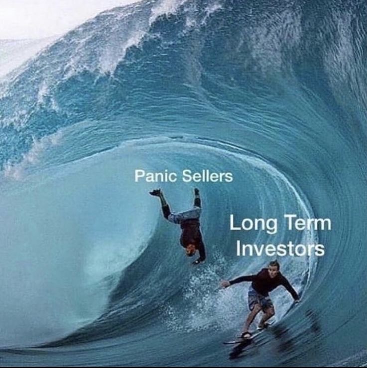 Len Marat⚡️ tweet media