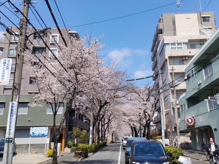 大石きつね tweet media