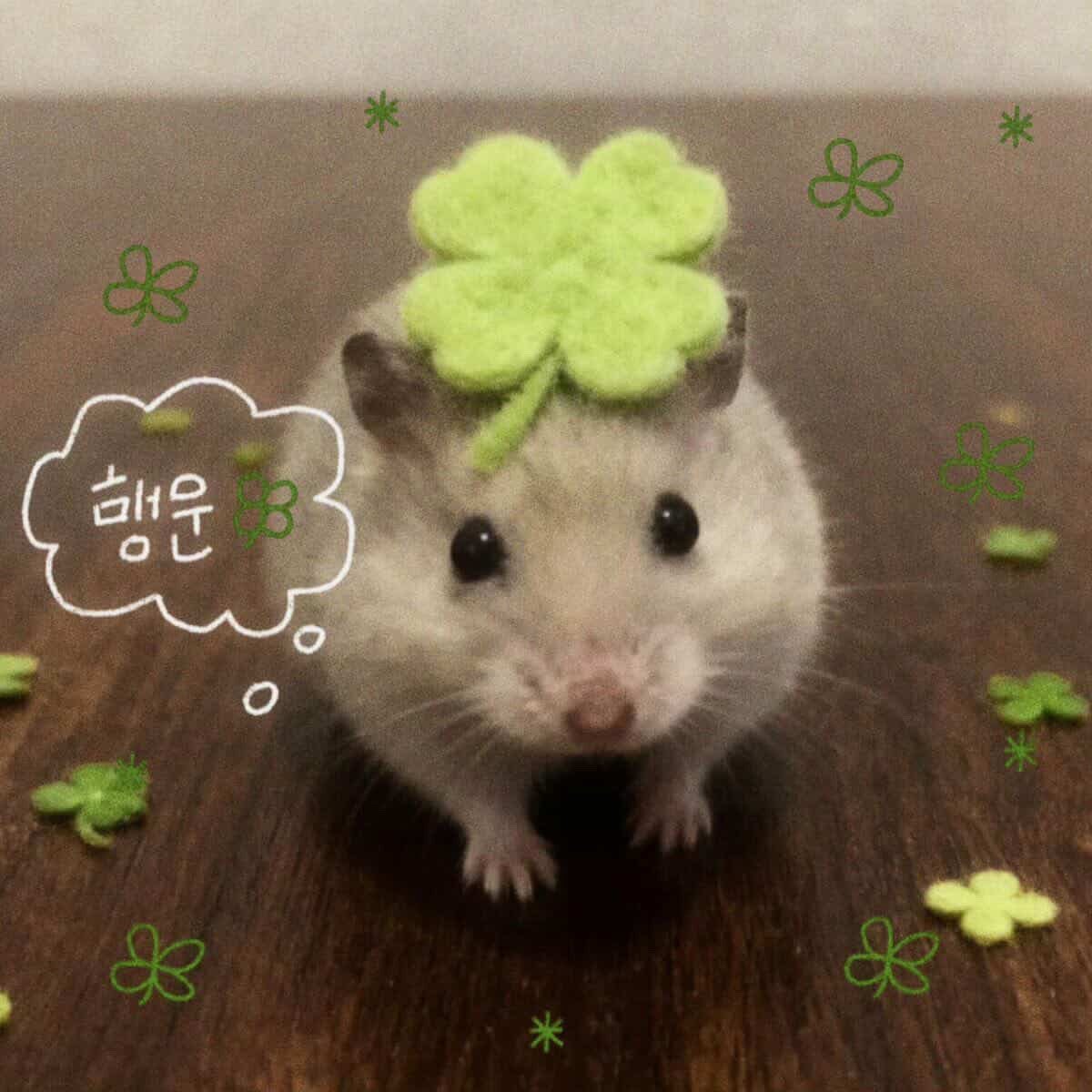 ⌗ ˖°ดูดวงไพ่ทาโรต์✧⁺ ໒꒱ tweet media