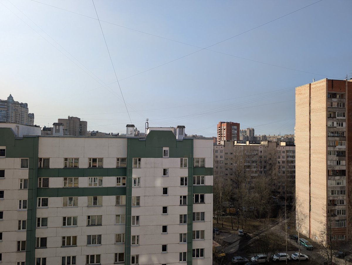 Нежный краевед tweet media