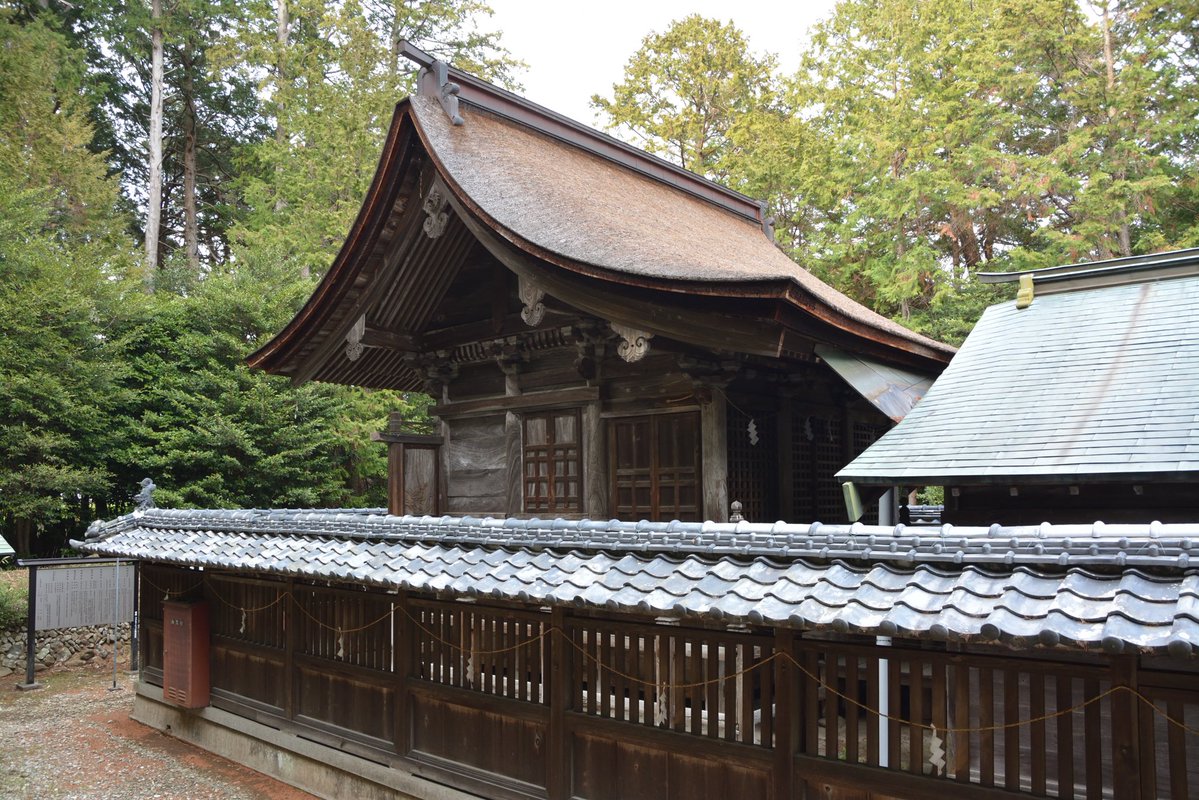 ｼﾝ/Shin tweet media