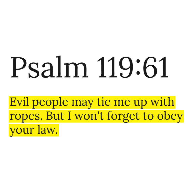 Holy Bible tweet media