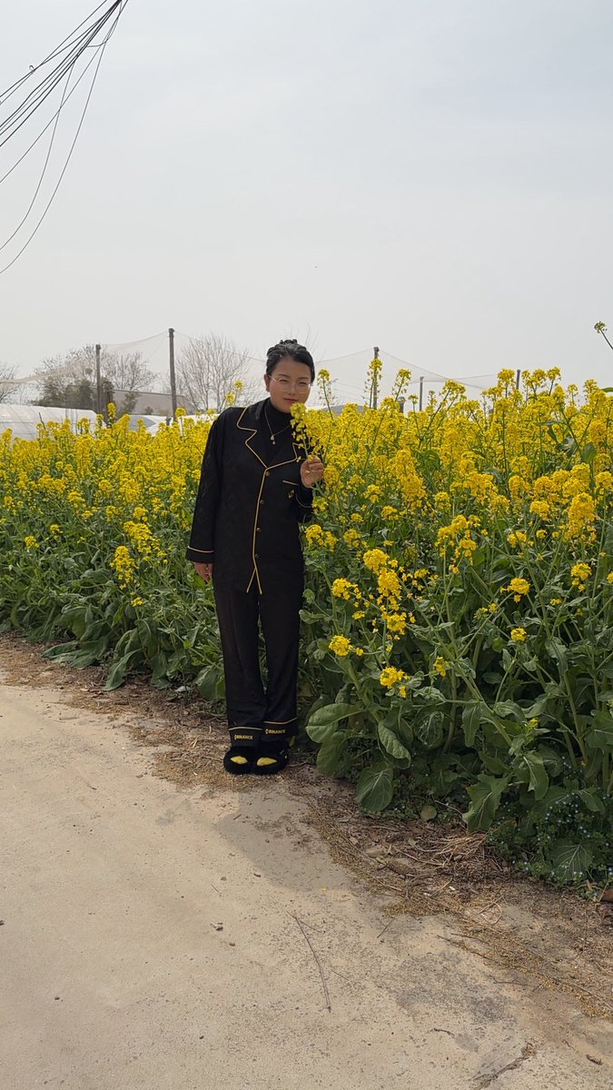 开挂的金兔子☯️🍊 tweet media