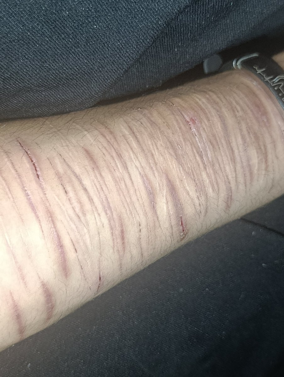 eLizolam tweet media