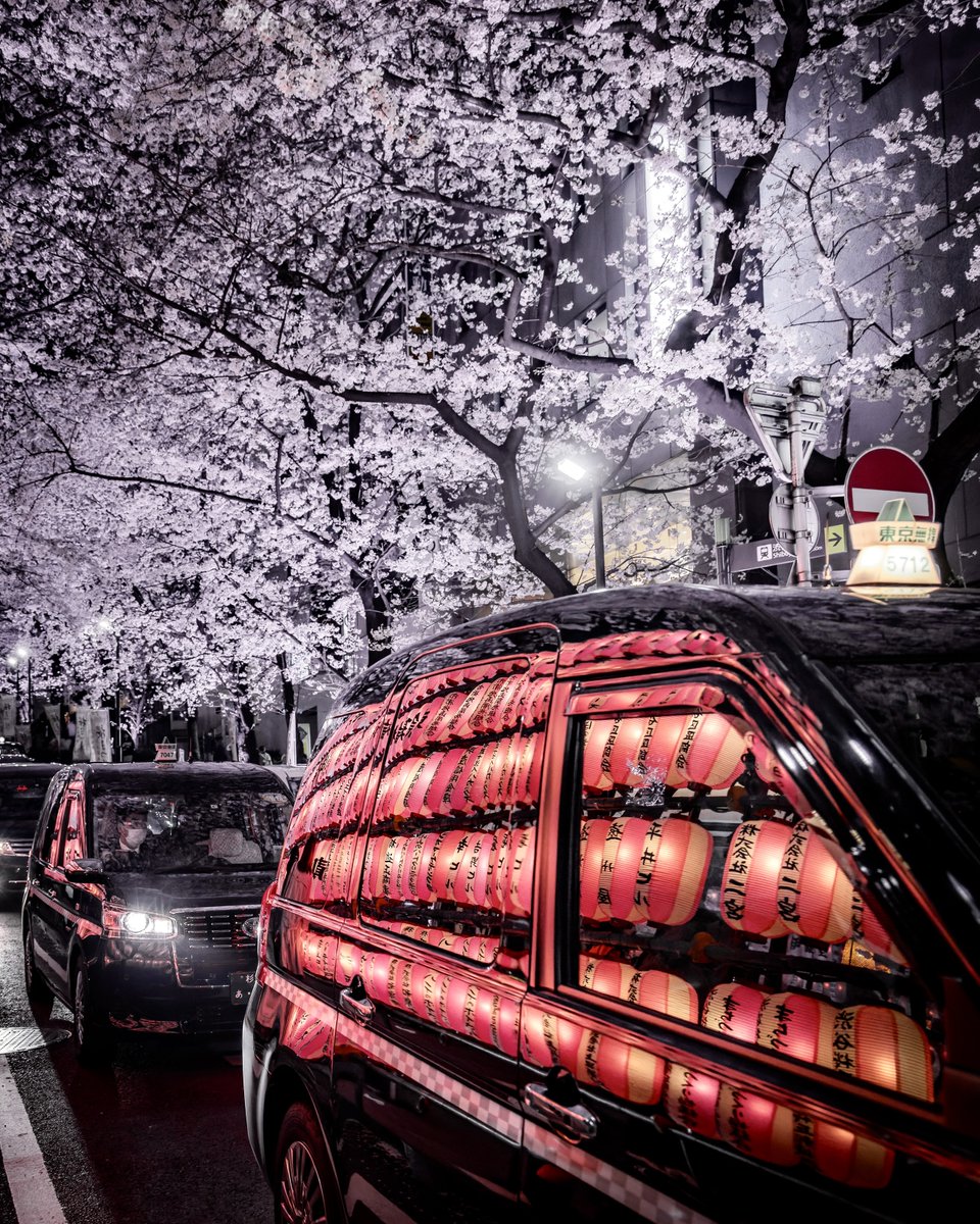 tokyocamerajp's tweet image. pamelac0621さんの投稿作品。リツイート＆いいね！大歓迎です。
tokyocameraclub.com/mstdn/pamelac0…
 #mastodon #マストドン #Photograph #Photography