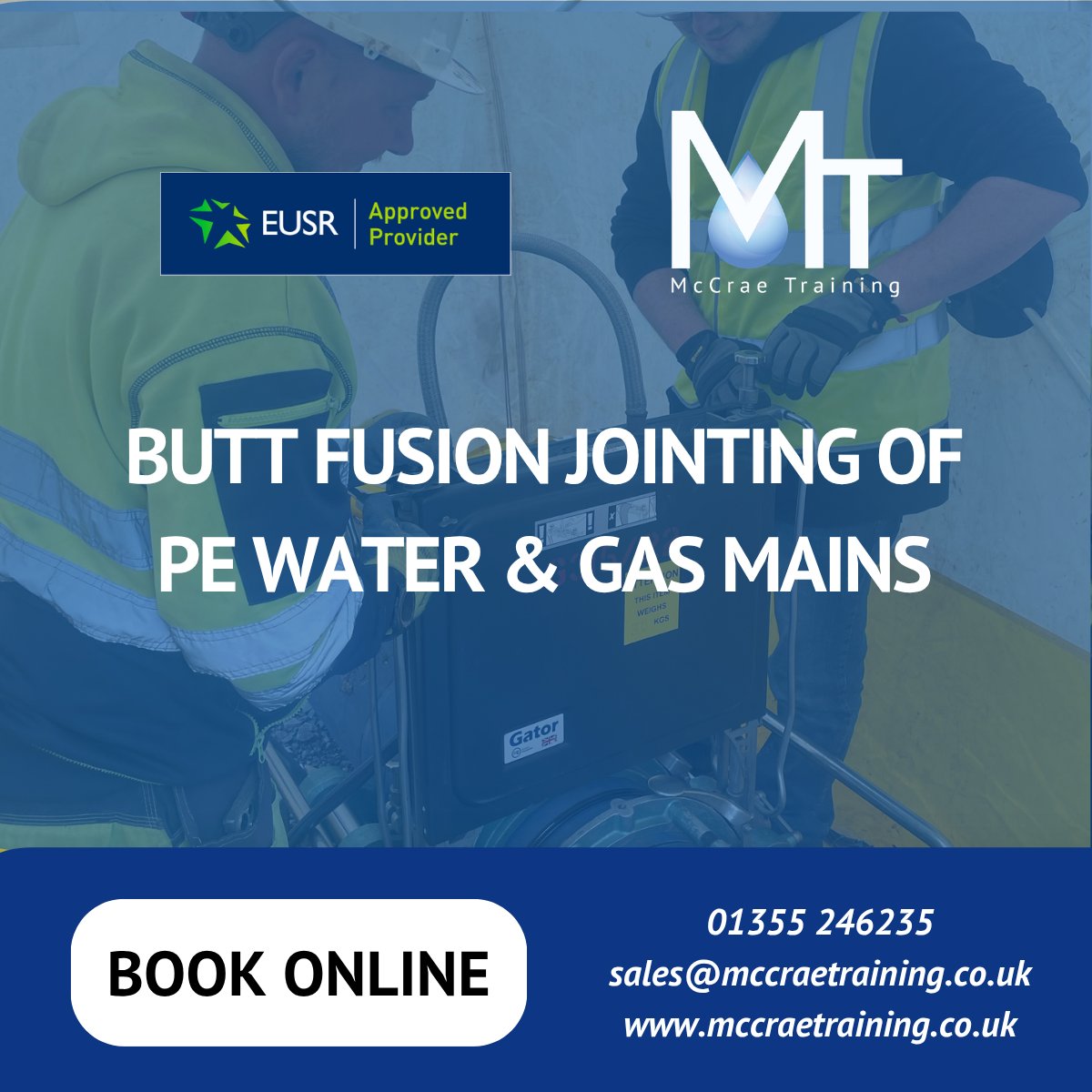 McCrae Training tweet media