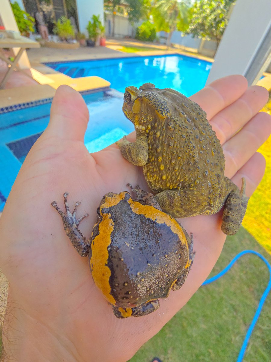 Xterminator tweet media