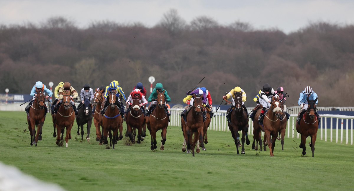 Racing Post tweet media