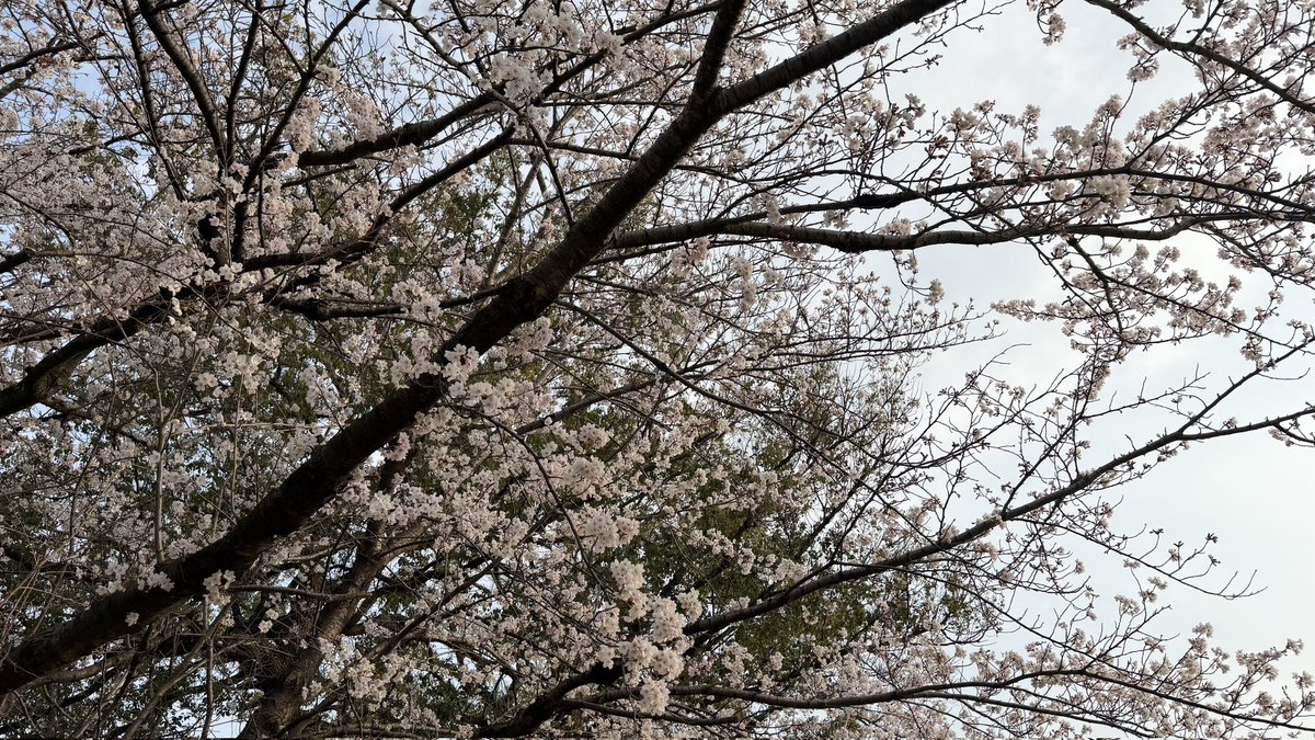 マト|定職と和解できない36歳 tweet media