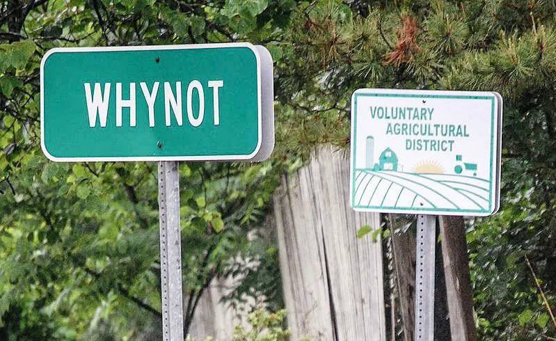 Curio 𝑿 tweet media