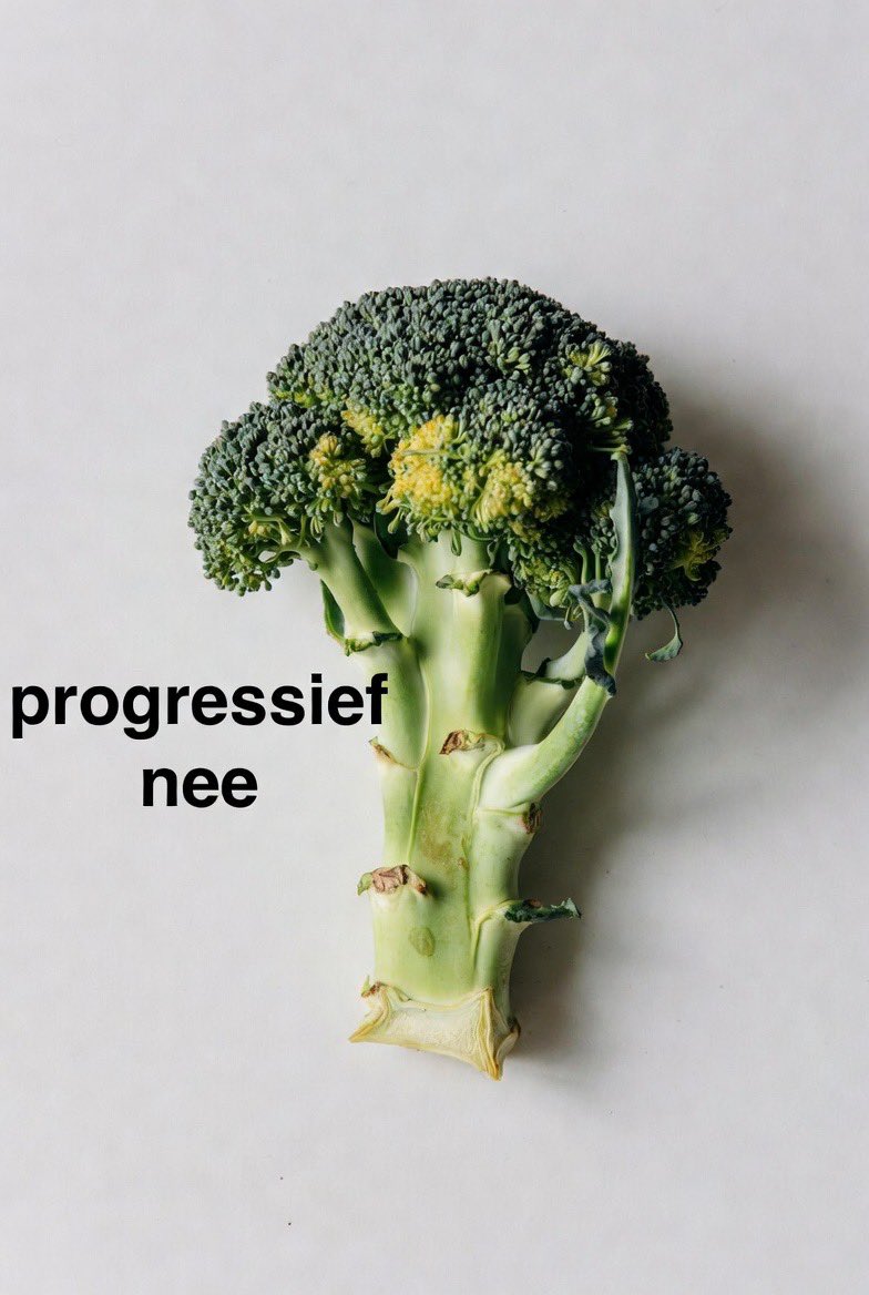 Mr. Tulip💙 tweet media