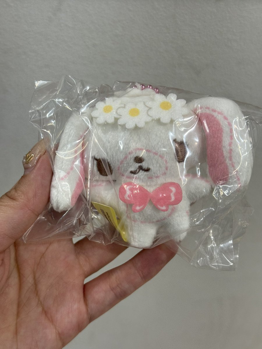 ぬい🧸 tweet media