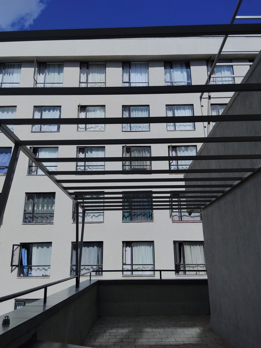 Borrielo tweet media