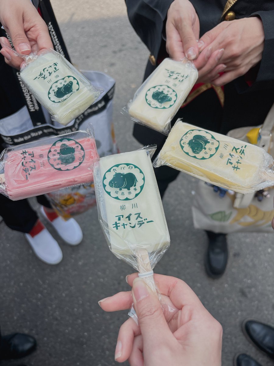 ももか🐾 tweet media