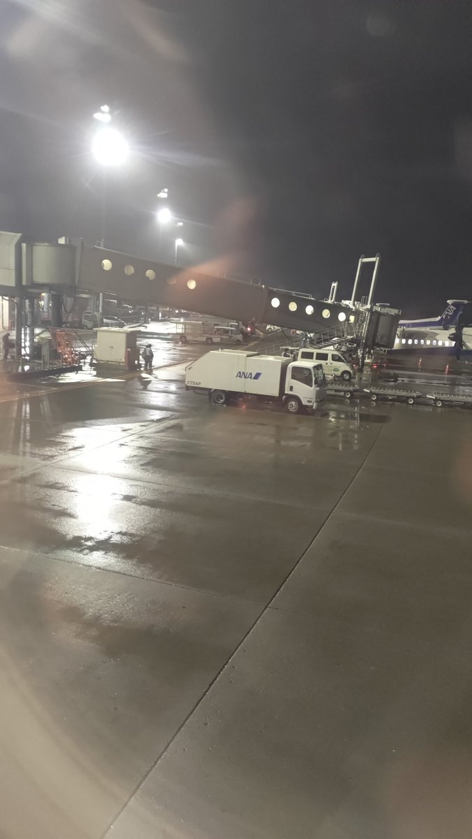 さらば北海道！
さっき気づいたけどリバティアイランドのお墓行ってない！
また行きます！
次は浦河に行きたい