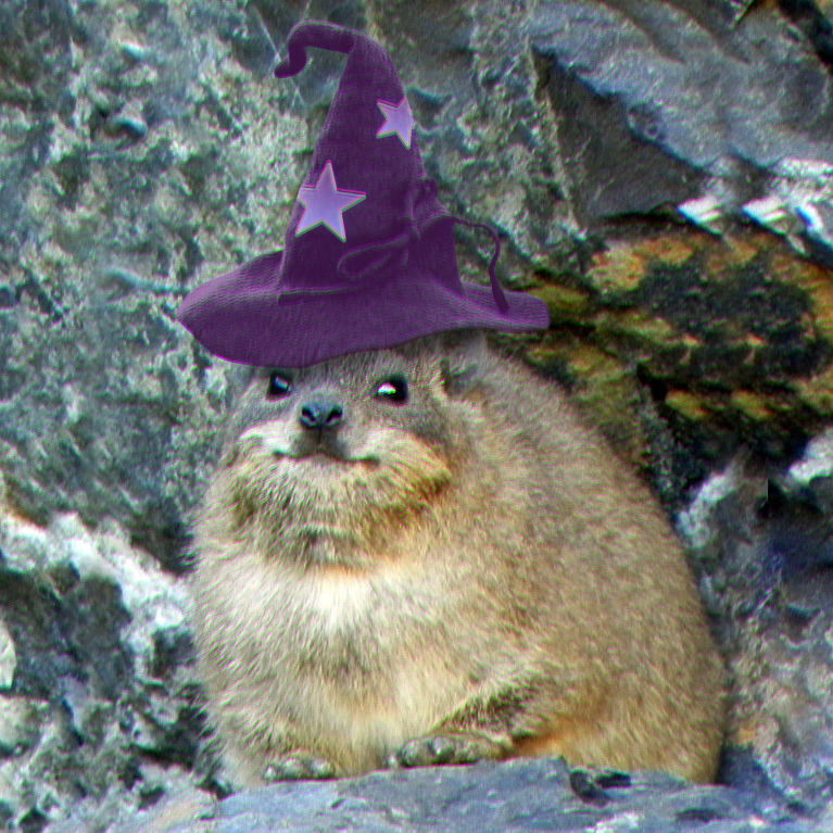 Rikki Lorie tweet media