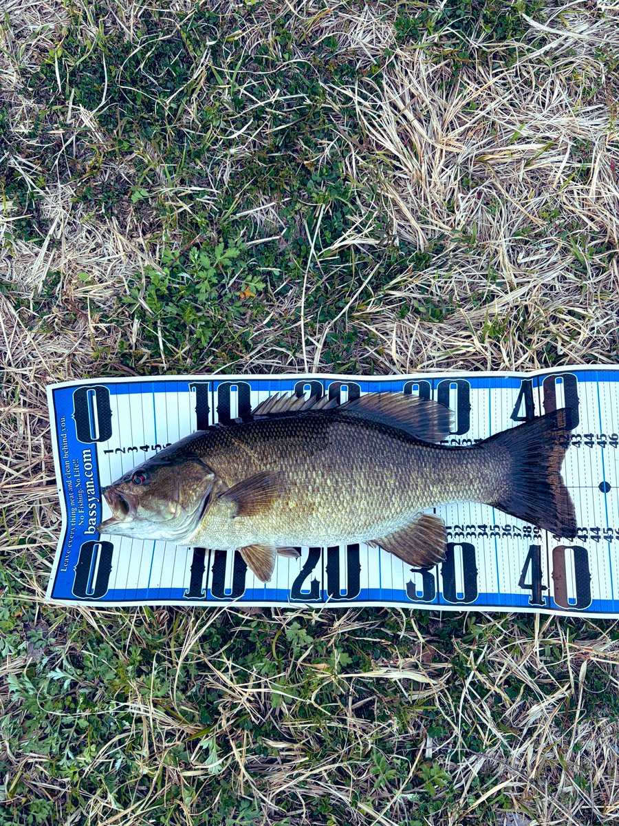 キーさん tweet media