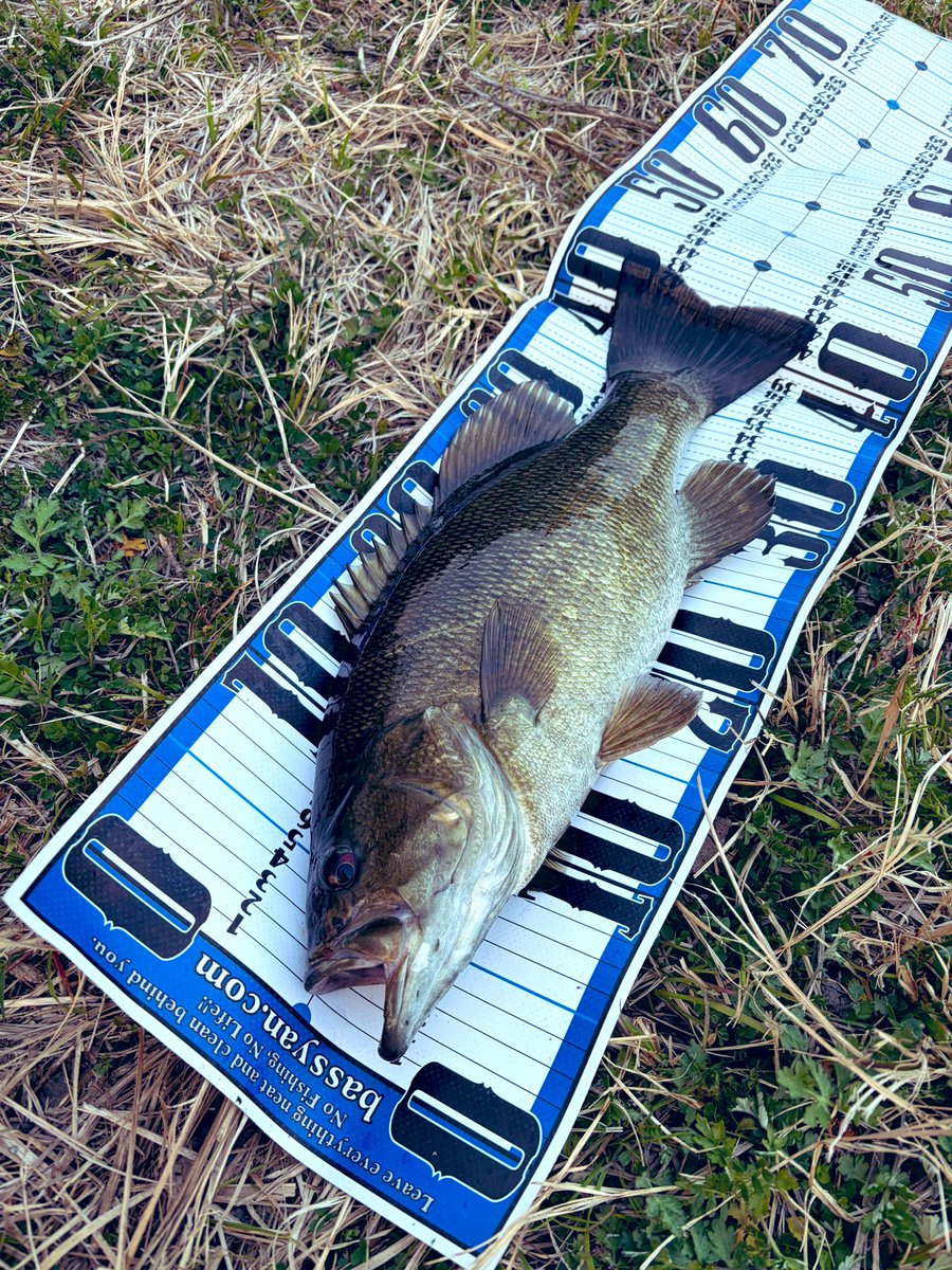 キーさん tweet media