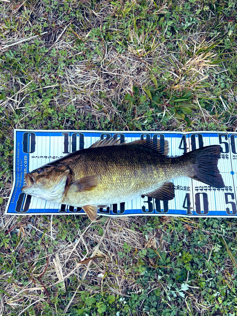 キーさん tweet media