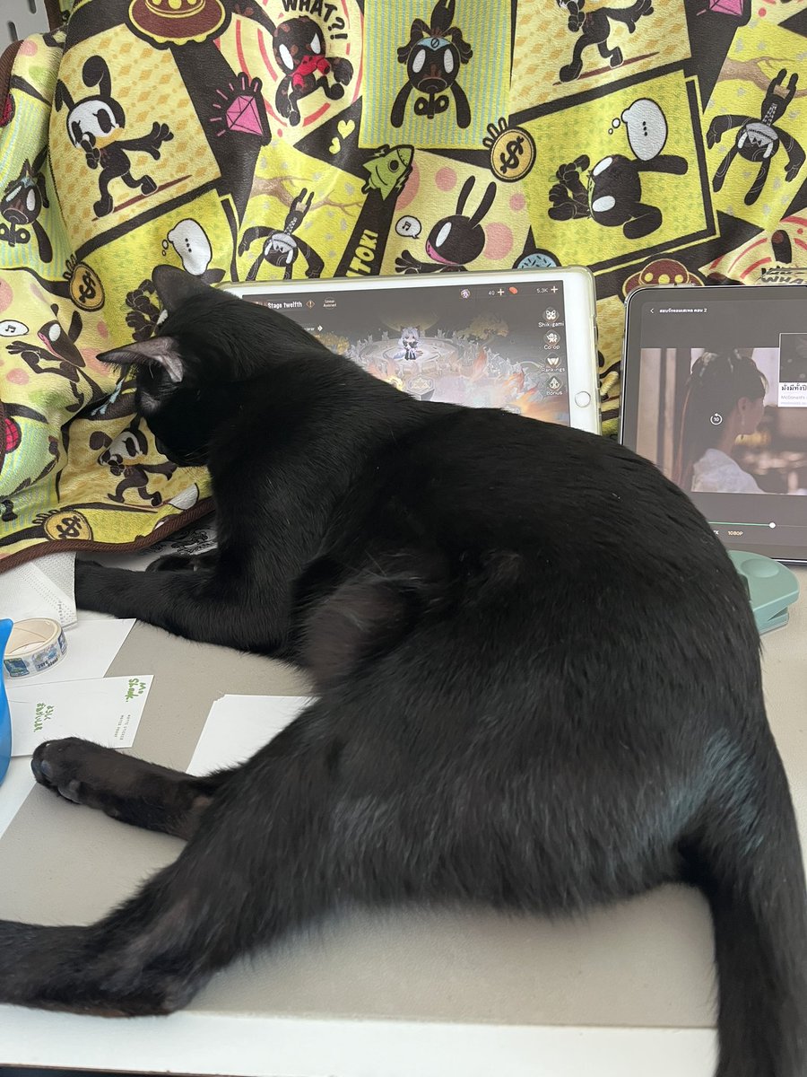 Pɑeristɑr Fac 🐈⬛ Q06📖book fair tweet media