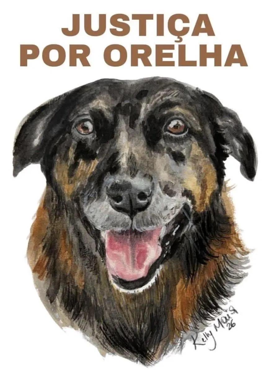 SofiaC 🦋🐝🎢 tweet media