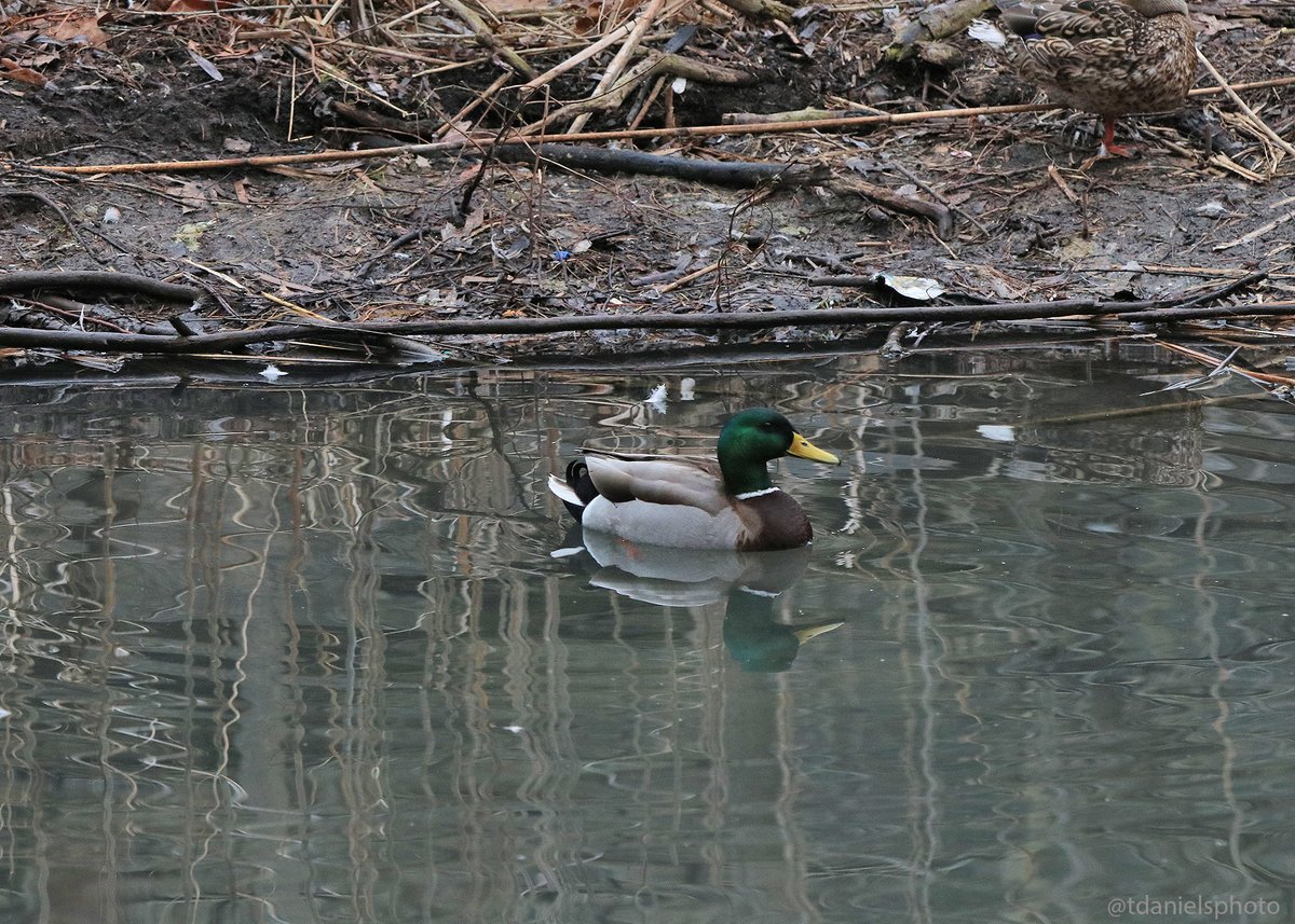 Terry Hlywka tweet media