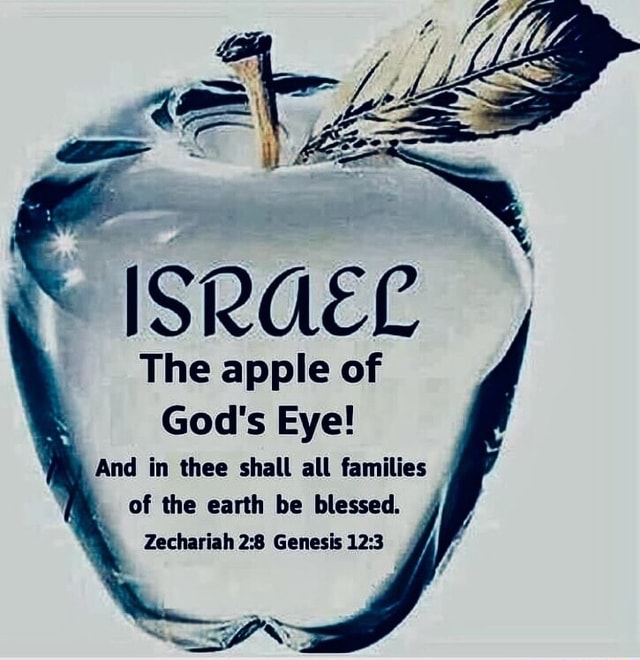 Benjamin Rapture Ready tweet media