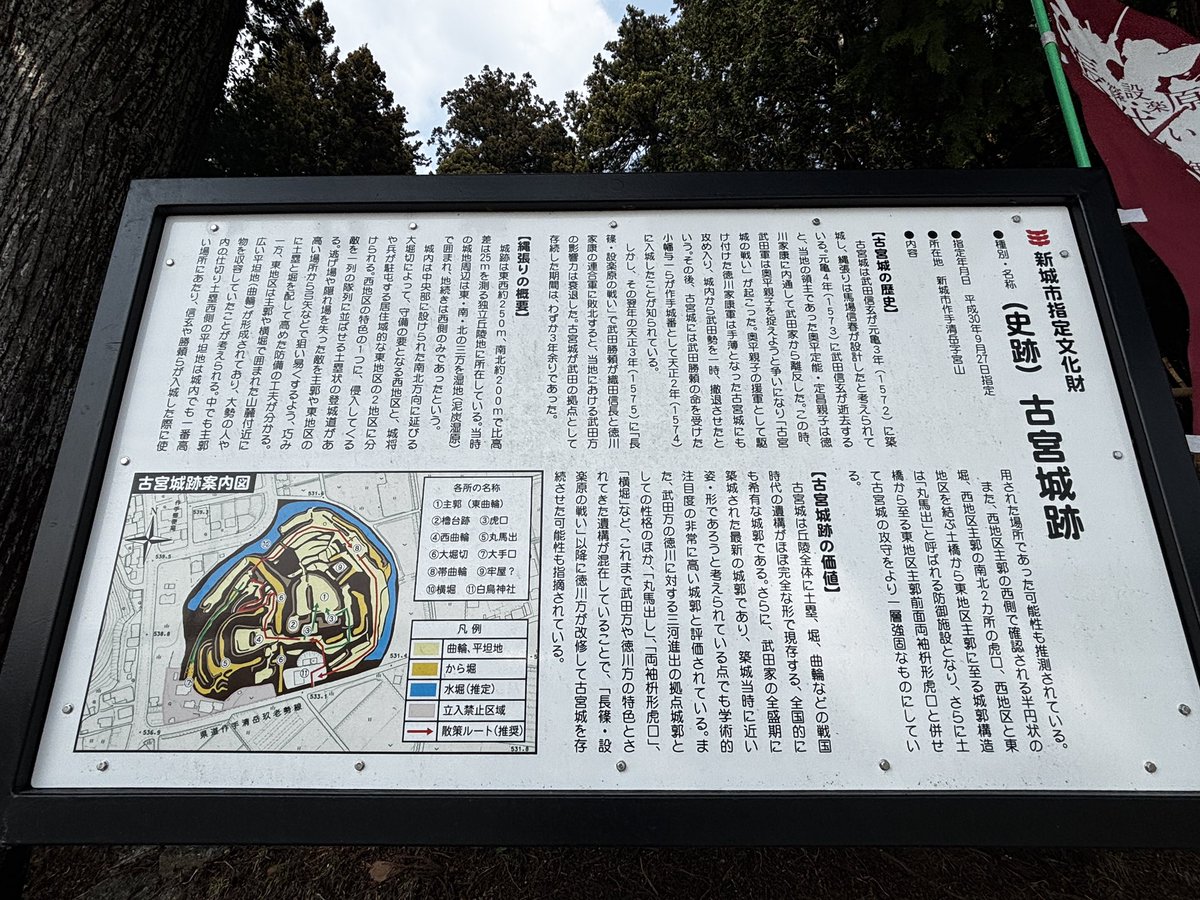 セシリア7144🦍💎 tweet media