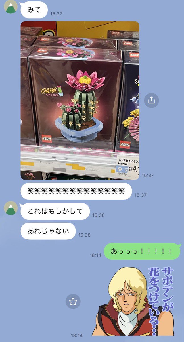 Bellhop🔔skeb募集中 tweet media