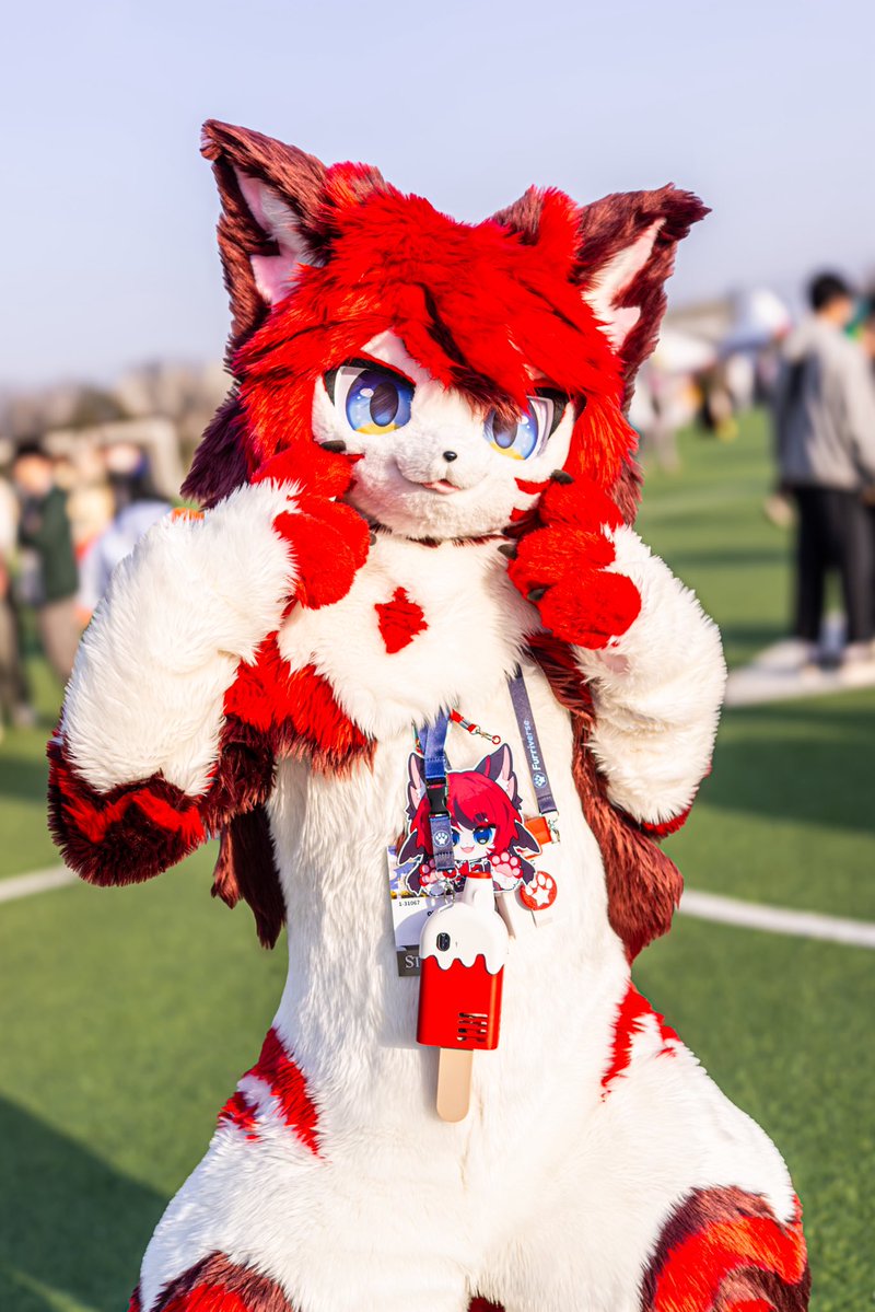 퀘이버 tweet media