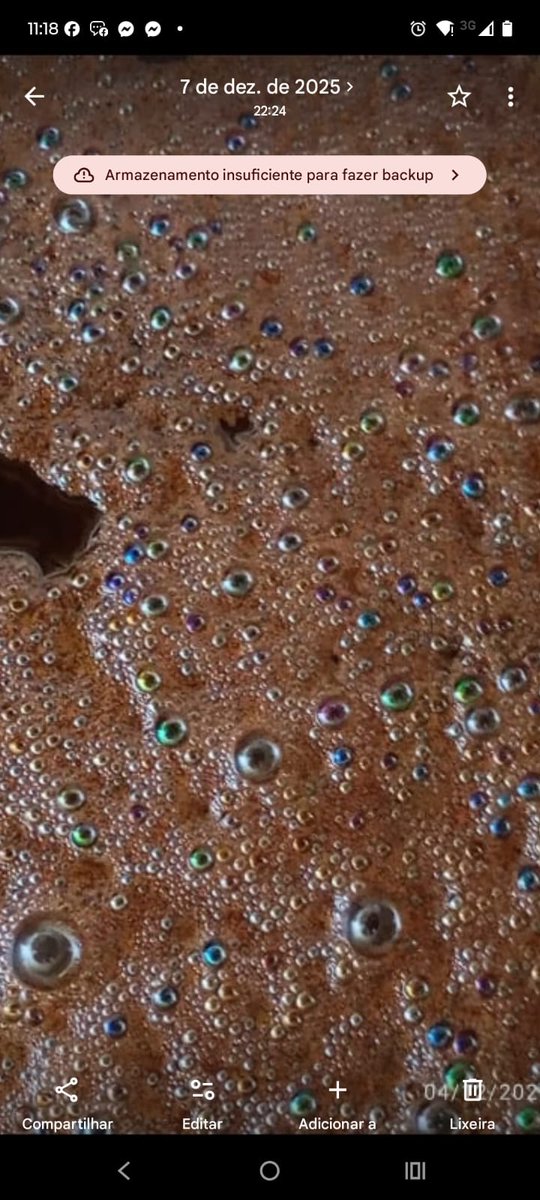 Medicina da Floresta 💚💚