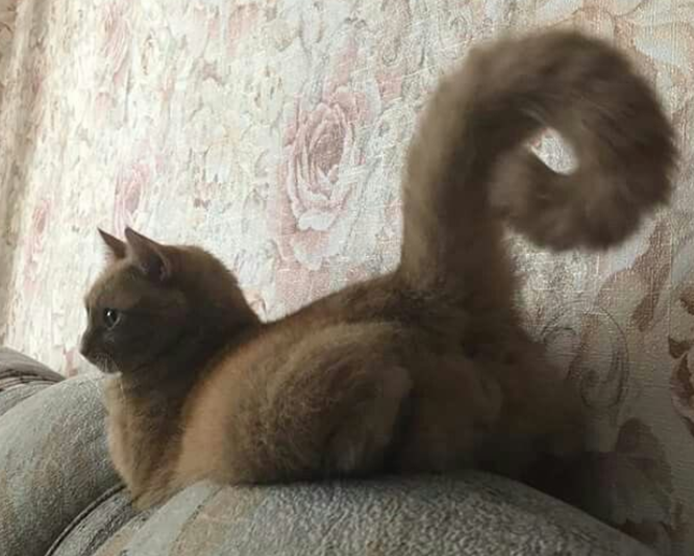 Eva Close tweet media